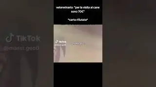 Cosa succede se non paghi il veterinario #freebooter #memes #meme #funny #tiktok #perte #neiperte
