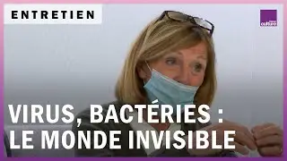 Virus, bact&eacute;ries, ce monde invisible qui est en nous