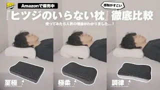 Amazonで爆売れし続けている謎の枕を使ってみたら寝心地が良すぎた件 | ヒツジのいらない枕