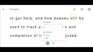 How to use Immersive Reader Features