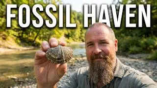 Fossil Hunting In Southern Ontario's Most Concentrated Fossil Bed. Rock Glen Conservation Area.