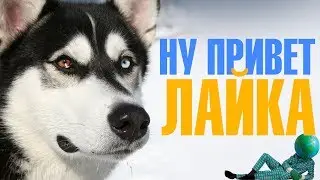Лайка мобайл - альтернатива зажравшимся мобильным операторам Украины