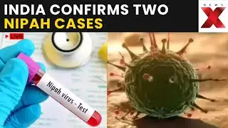 Nipah Virus LIVE Updates: India Confirms Two Nipah Virus Cases in West Bengal