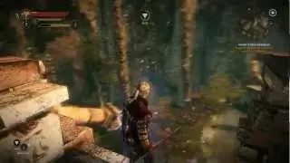 Combat Gameplay | The Witcher 2: Assassins of Kings