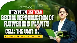 AP/TG IPE 1st Year Biology | Sexual Reproduction in Flowering Plants &ndash; SAQs