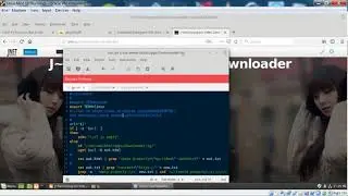 Download Instagram Videos Via PHP Script Example