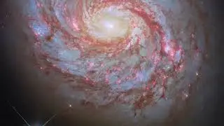Explorando la galaxia espiral Messier 77