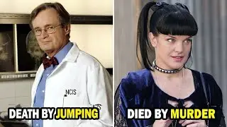 9 Beloved NCIS Actors Who Tragically Passed Away