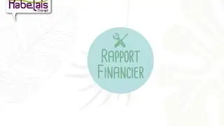 Rapport financier 2017
