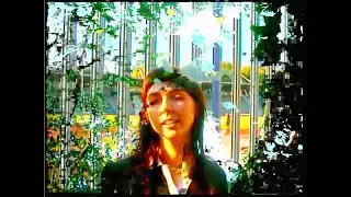 Blood Wizard - BEE STING