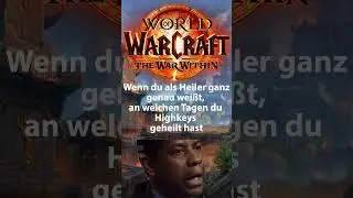Heiler in Highkeys  #mmorpg #mmo #worldofwarcraft #gaming #warcraft #warwithin #shorts #meme #memes