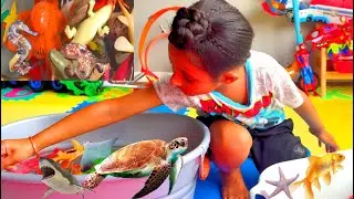 Sea Animals | Sea Animal Video | Pretend Play Video | Sea Animal Toys | Playtime Fun Video