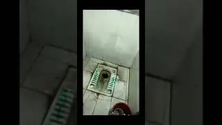Modicare Beyond Blue Toilet Cleaner Demo