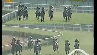 The Astral Flash Plate Div-2 winner FATBOYSLIM