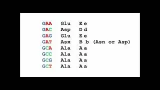 A scheme to encode English sentences in DNA
