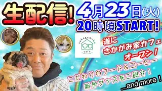 【生配信！】さかがみ家カフェ（sakagamike café）グランドオープン直前！新作グッズもご紹介！などなど