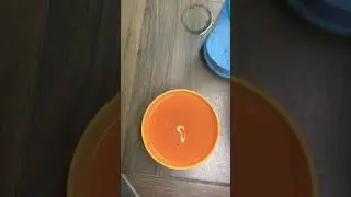 New experiment Water+turmeric and surexcel and lemon #shorts #experiment#youtubeshorts