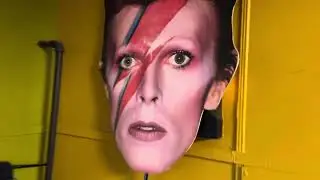 Record Store Tour- Absolute Vinyl in Longmont CO and The Question of Record Collecting Insanity