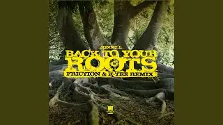 Back to Your Roots (Friction & K-Tee Remix)