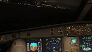 FLIGHT SIMULATOR