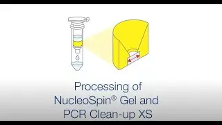 Processing of NucleoSpin Gel and PCR Clean-up XS