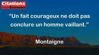Un fait courageux ne doit pas conclure un homme vaillant. - Montaigne