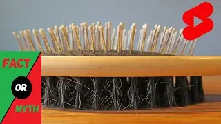 you need to brush 100 strokes a day - Fact or myth #shorts