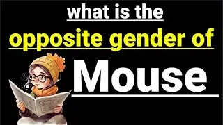 what is the opposite gender of mouse || mouse ka opposite kya hoga