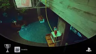Stray Sneakitty