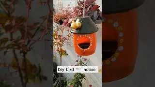 DIY Bird House | balcony decoration | home decoration ideas #homedecor #birdhouse