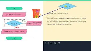 Algorithms in Maths - Level 8: Lesson 2, Decisions and Variables