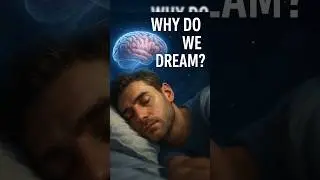 Why You Dream Every Night 😴 | #shorts #whywedream #dreams