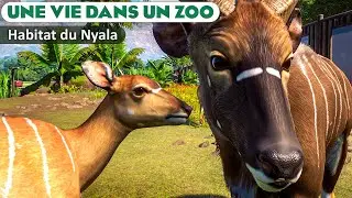 Un habitat au bord de la rivi&egrave;re pour le Nyala | &Eacute;PISODE 115 | PLANET ZOO | Franchise