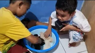 Lucu Zefa prank Moli sembunyikan anaknya 🤣