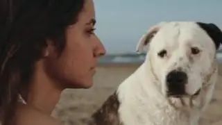 Contigo - Bombai