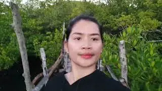 Lamanok Anda, Bohol- Boardwalk 2023