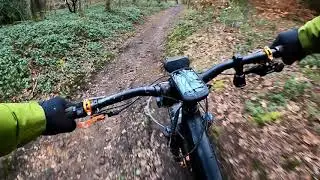 Singletrack Scene Piper House