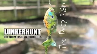Lunkerhunt Prop Fish: Test and Review. Is It Any Good?