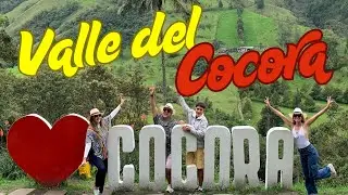Que hacer en el Valle del Cocora Eje Cafetero 🌿 | cómo llegar, qué hacer  | Viajando Sin Apuros