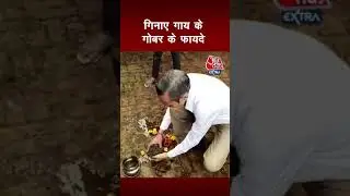 गाय का गोबर खाते MBBS डॉक्टर का Video Viral, कैमरे पर गिनाए कई फायदे #Shorsts