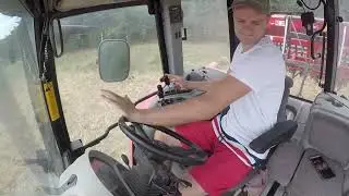 Bc Leguminozna smjesa - postrna sjetva zelene gnojidbe 
