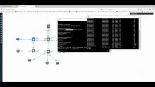 EVE install Telnet VNC Wireshark Local management