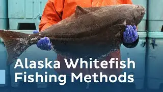 Alaska Seafood U&reg; Series: Alaska Whitefish Fishing Methods