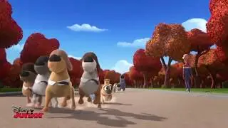 Puppy Dog Pals - The Lab Four EXCLUSIVE CLIP