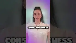Galactic Federation of Light &mdash; Decree of Freedom
