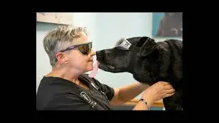 Creekside Vet (Charleston SC area) Hiring Assoc. DVM