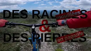 Des racines et des pierres à Mons (83)