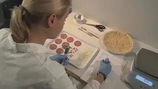 Pizza Salami im Test der Stiftung Warentest