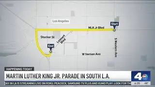 Martin Luther King Jr. Day celebrations
