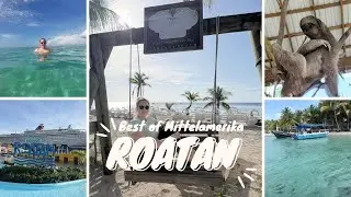 🦥 Faultiere hautnah auf Roat&aacute;n + dieser Strand ist UNGLAUBLICH 🌴 | JustFloat